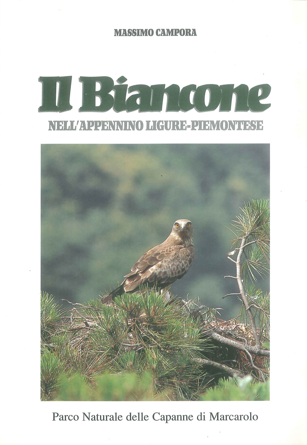 Libro Il Biancone
