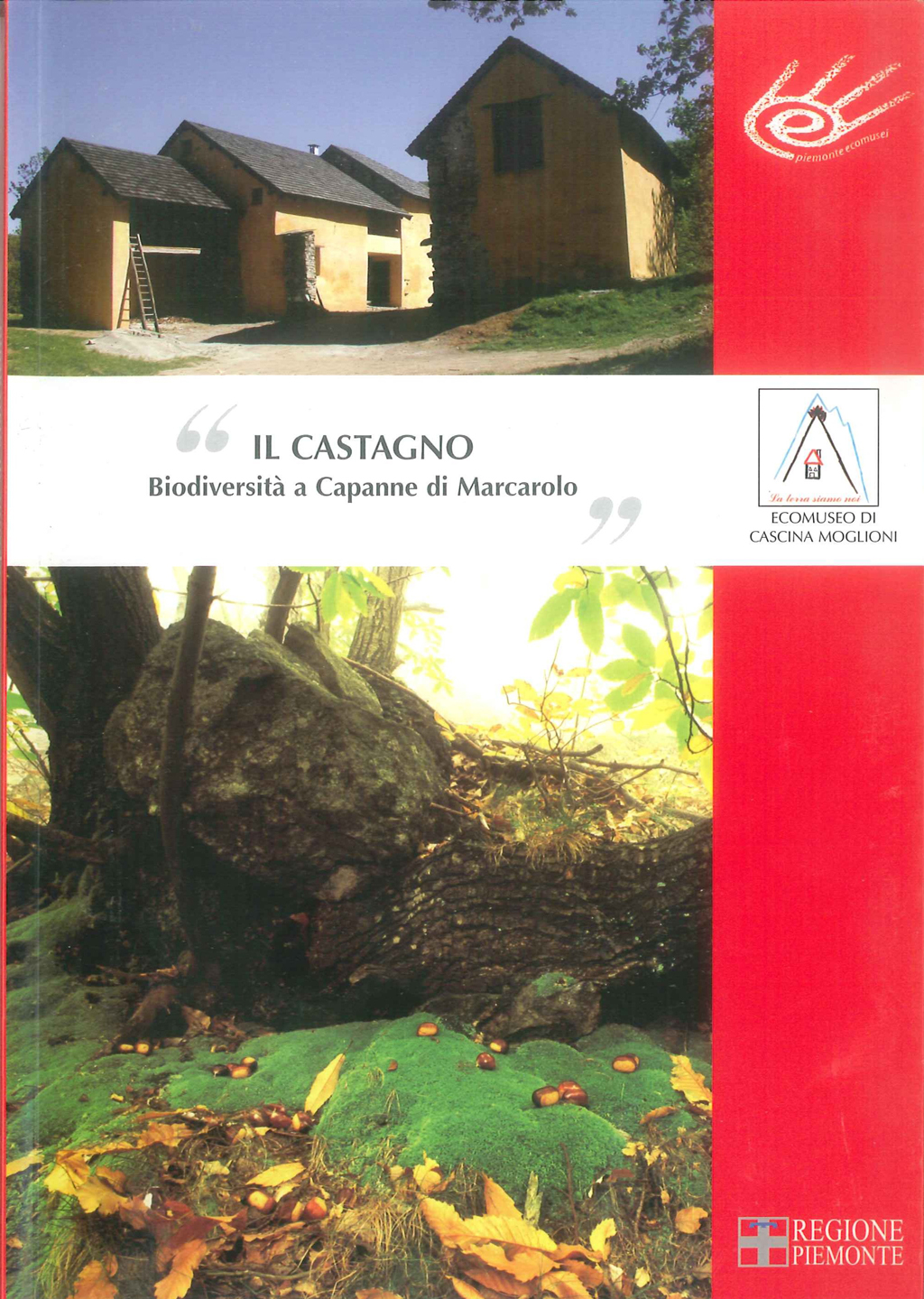 Libro Il Castagno