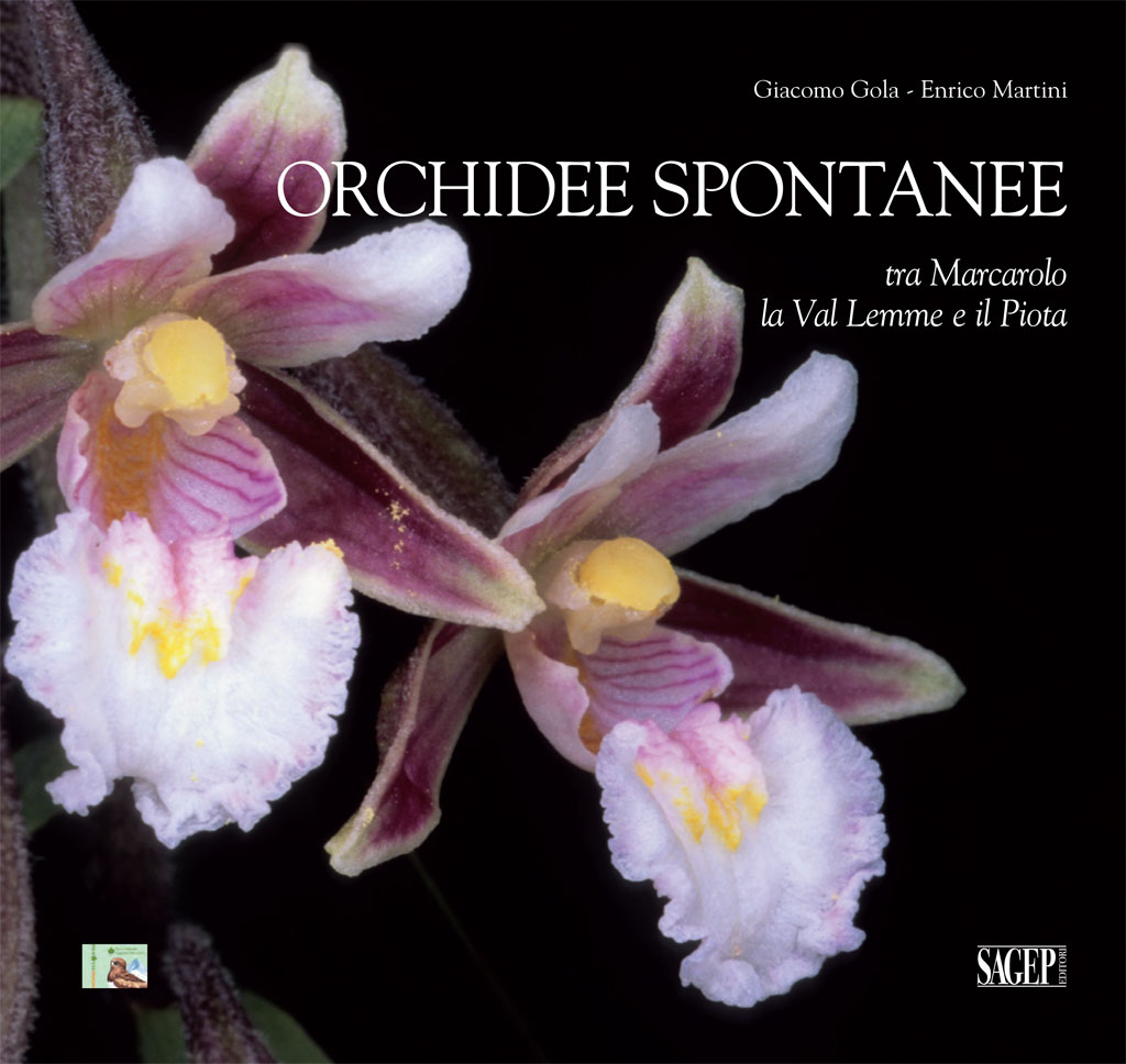 Libro Le Orchidee Spontanee